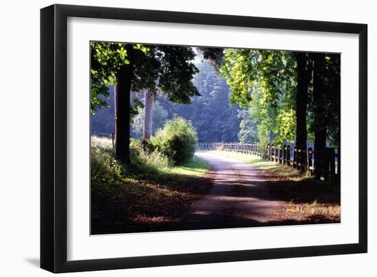 Path Into the Woods, Burgandy, France ‘99-Monte Nagler-Framed Photographic Print