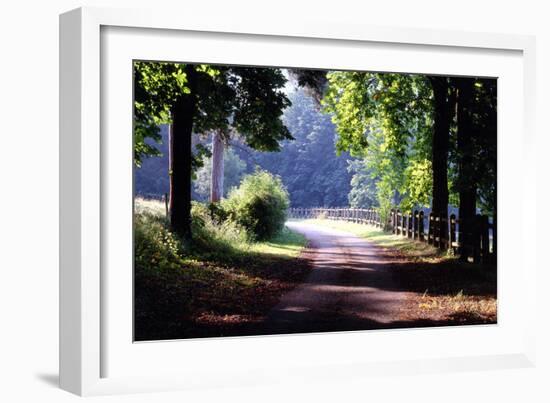 Path Into the Woods, Burgandy, France ‘99-Monte Nagler-Framed Photographic Print