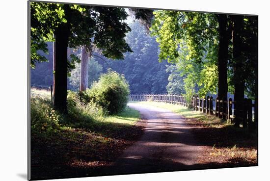 Path Into the Woods, Burgandy, France ‘99-Monte Nagler-Mounted Photographic Print