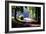 Path Into the Woods, Burgandy, France ‘99-Monte Nagler-Framed Photographic Print