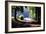 Path Into the Woods, Burgandy, France ‘99-Monte Nagler-Framed Photographic Print