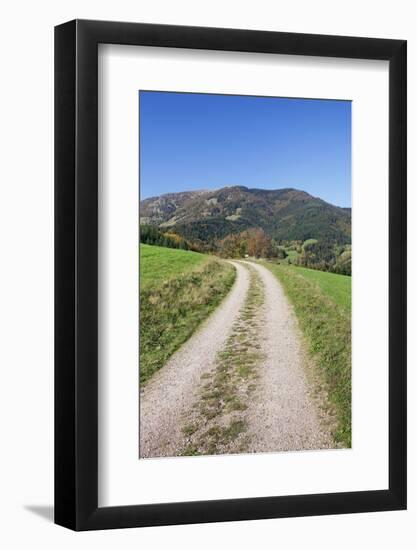 Path Leading to Belchen Mountain, Black Forest, Baden Wurttemberg, Germany, Europe-Markus-Framed Photographic Print