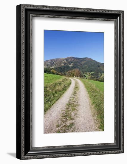 Path Leading to Belchen Mountain, Black Forest, Baden Wurttemberg, Germany, Europe-Markus-Framed Photographic Print