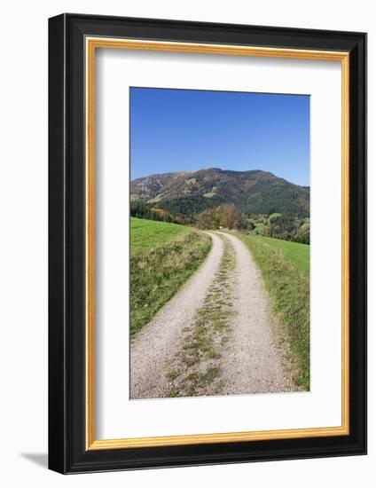 Path Leading to Belchen Mountain, Black Forest, Baden Wurttemberg, Germany, Europe-Markus-Framed Photographic Print