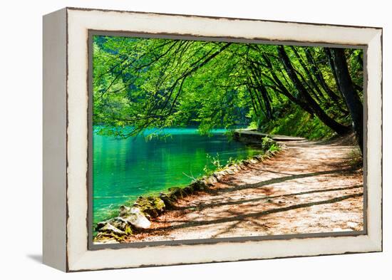 Path near A Forest Lake in Plitvice Lakes National Park, Croatia-Lamarinx-Framed Premier Image Canvas