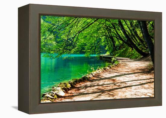 Path near A Forest Lake in Plitvice Lakes National Park, Croatia-Lamarinx-Framed Premier Image Canvas