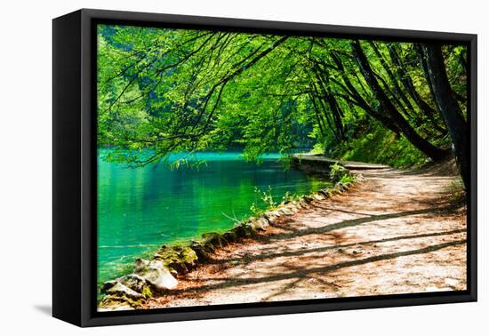 Path near A Forest Lake in Plitvice Lakes National Park, Croatia-Lamarinx-Framed Premier Image Canvas