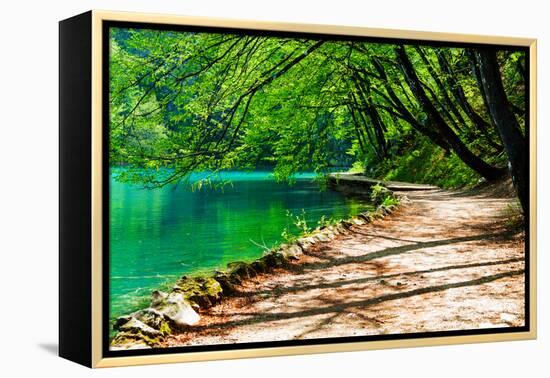 Path near A Forest Lake in Plitvice Lakes National Park, Croatia-Lamarinx-Framed Premier Image Canvas