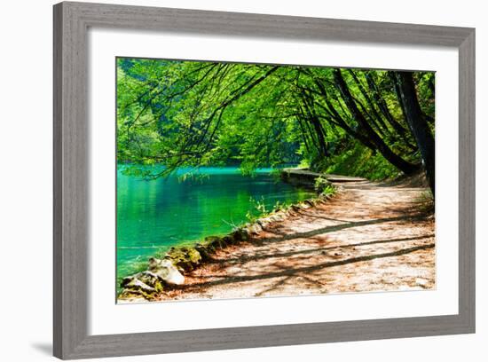 Path near A Forest Lake in Plitvice Lakes National Park, Croatia-Lamarinx-Framed Photographic Print