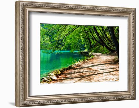 Path near A Forest Lake in Plitvice Lakes National Park, Croatia-Lamarinx-Framed Photographic Print