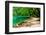 Path near A Forest Lake in Plitvice Lakes National Park, Croatia-Lamarinx-Framed Photographic Print