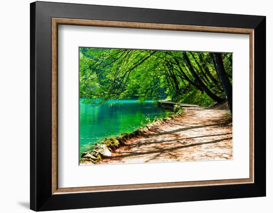 Path near A Forest Lake in Plitvice Lakes National Park, Croatia-Lamarinx-Framed Photographic Print