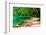 Path near A Forest Lake in Plitvice Lakes National Park, Croatia-Lamarinx-Framed Photographic Print