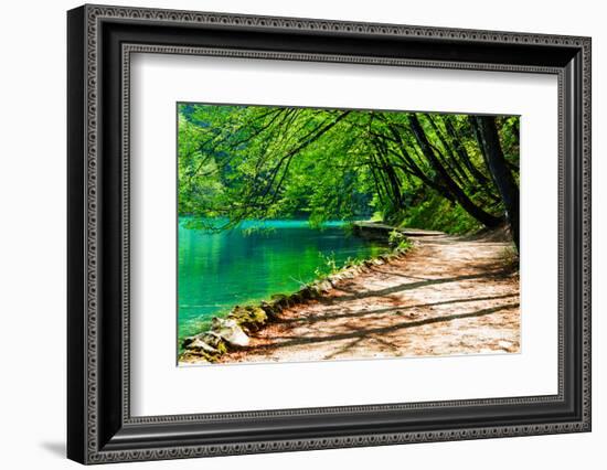 Path near A Forest Lake in Plitvice Lakes National Park, Croatia-Lamarinx-Framed Photographic Print