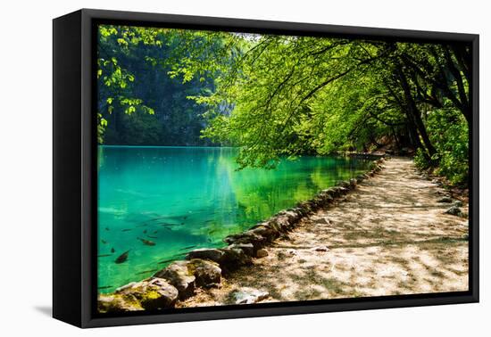 Path near A Forest Lake with Fish in Plitvice Lakes National Park, Croatia-Lamarinx-Framed Premier Image Canvas