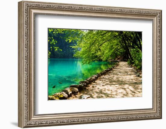 Path near A Forest Lake with Fish in Plitvice Lakes National Park, Croatia-Lamarinx-Framed Photographic Print