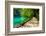 Path near A Forest Lake with Fish in Plitvice Lakes National Park, Croatia-Lamarinx-Framed Photographic Print