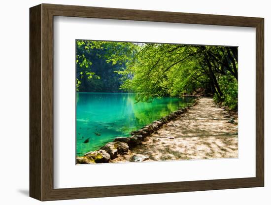 Path near A Forest Lake with Fish in Plitvice Lakes National Park, Croatia-Lamarinx-Framed Photographic Print