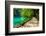 Path near A Forest Lake with Fish in Plitvice Lakes National Park, Croatia-Lamarinx-Framed Photographic Print