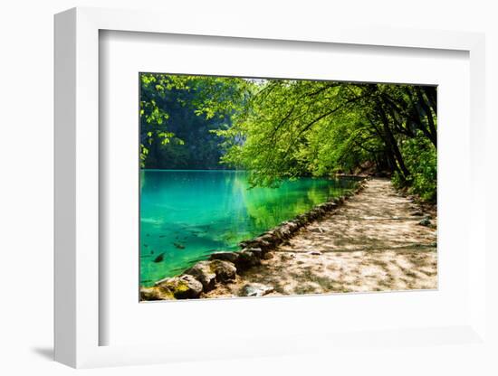 Path near A Forest Lake with Fish in Plitvice Lakes National Park, Croatia-Lamarinx-Framed Photographic Print