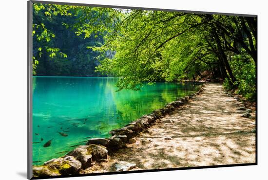 Path near A Forest Lake with Fish in Plitvice Lakes National Park, Croatia-Lamarinx-Mounted Photographic Print
