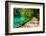 Path near A Forest Lake with Fish in Plitvice Lakes National Park, Croatia-Lamarinx-Framed Photographic Print