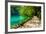 Path near A Forest Lake with Fish in Plitvice Lakes National Park, Croatia-Lamarinx-Framed Photographic Print