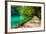 Path near A Forest Lake with Fish in Plitvice Lakes National Park, Croatia-Lamarinx-Framed Photographic Print