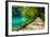 Path near A Forest Lake with Fish in Plitvice Lakes National Park, Croatia-Lamarinx-Framed Photographic Print