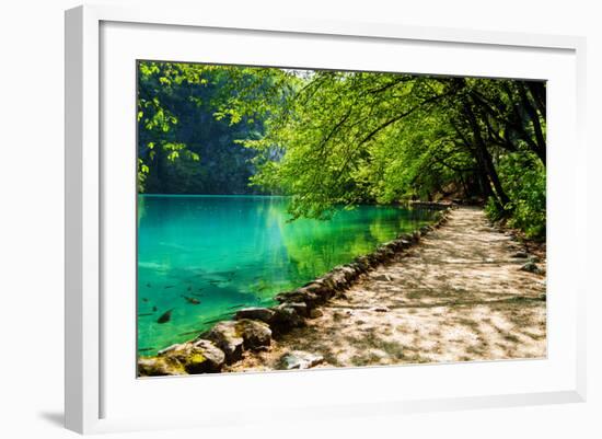 Path near A Forest Lake with Fish in Plitvice Lakes National Park, Croatia-Lamarinx-Framed Photographic Print