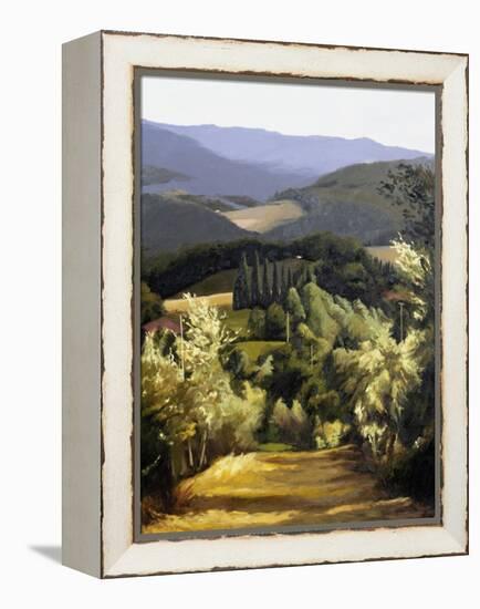 Path Near the Villa-Helen J. Vaughn-Framed Premier Image Canvas