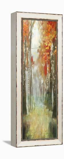 Path of Dreams-Andrew Michaels-Framed Stretched Canvas