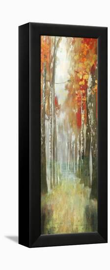 Path of Dreams-Andrew Michaels-Framed Stretched Canvas