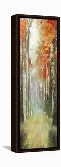 Path of Dreams-Andrew Michaels-Framed Stretched Canvas