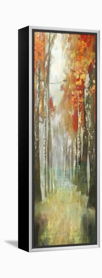 Path of Dreams-Andrew Michaels-Framed Stretched Canvas