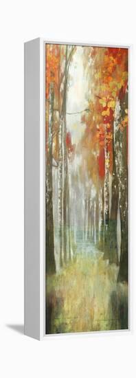 Path of Dreams-Andrew Michaels-Framed Stretched Canvas