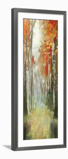 Path of Dreams-Andrew Michaels-Framed Art Print