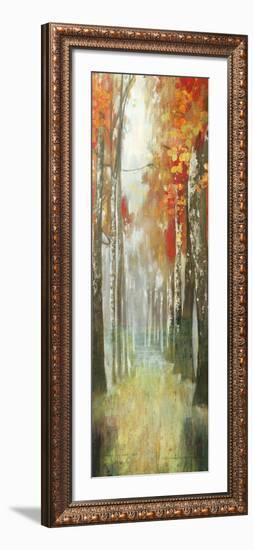 Path of Dreams-Andrew Michaels-Framed Art Print