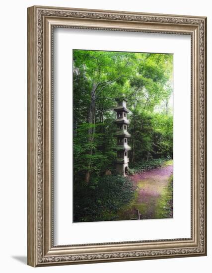 Path of Meditation-George Oze-Framed Photographic Print