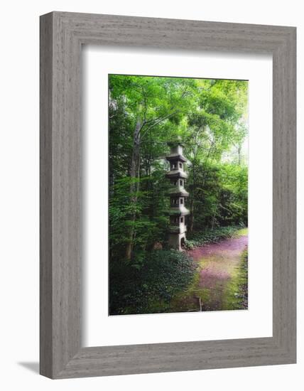 Path of Meditation-George Oze-Framed Photographic Print