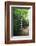 Path of Meditation-George Oze-Framed Photographic Print