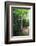 Path of Meditation-George Oze-Framed Photographic Print