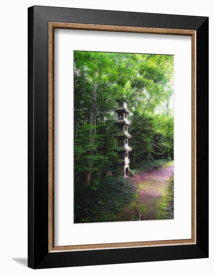 Path of Meditation-George Oze-Framed Photographic Print