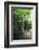 Path of Meditation-George Oze-Framed Photographic Print