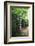 Path of Meditation-George Oze-Framed Photographic Print