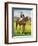 Path of Peace, Jockey: M. Beary', 1939-Unknown-Framed Giclee Print