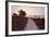 Path Running Through Common Heather, with Brownsea Island, Arne Rspb, Dorset, England, UK-Ross Hoddinott-Framed Photographic Print