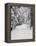 Path Through a Forest in Winter-Marcus Lange-Framed Premier Image Canvas