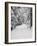Path Through a Forest in Winter-Marcus Lange-Framed Photographic Print