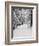 Path Through a Forest in Winter-Marcus Lange-Framed Photographic Print